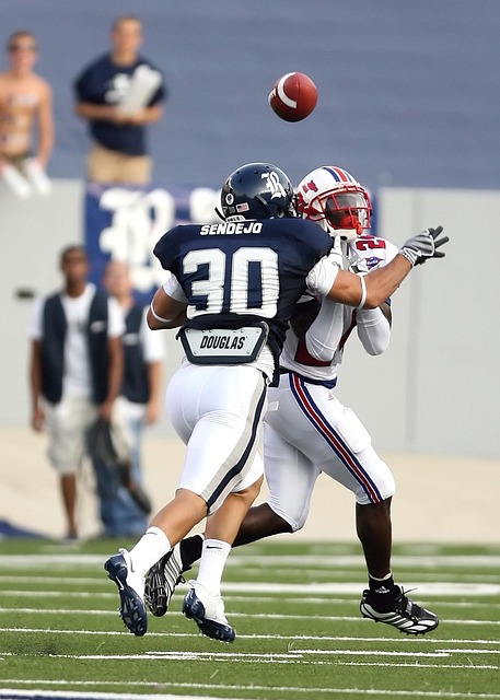 作为一种新 作为一种新